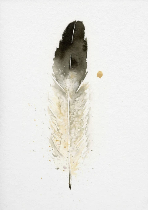 Image of a feather watercolor painting by Shayna Larsen, originals & prints available