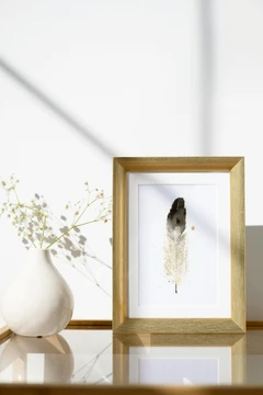 Image of a feather watercolor painting by Shayna Larsen, originals & prints available