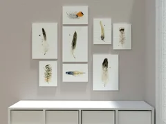 Image of a feather watercolor painting by Shayna Larsen, originals & prints available