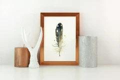 Image of a feather watercolor painting by Shayna Larsen, originals & prints available