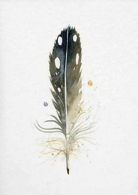 Image of a feather watercolor painting by Shayna Larsen, originals & prints available