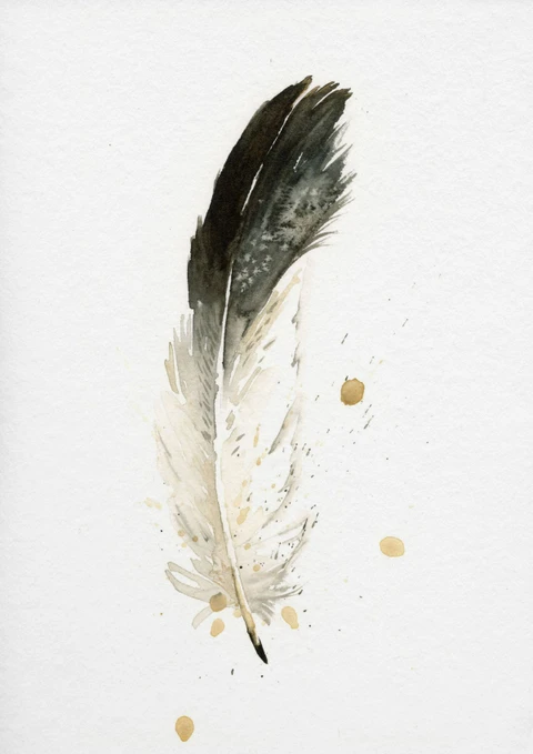 Image of a feather watercolor painting by Shayna Larsen, originals & prints available