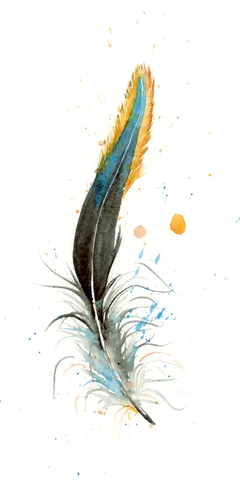 Image of a feather watercolor painting by Shayna Larsen, originals & prints available