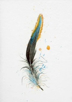 Image of a feather watercolor painting by Shayna Larsen, originals & prints available
