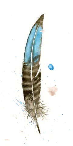 Image of a feather watercolor painting by Shayna Larsen, originals & prints available
