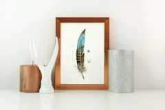 Image of a feather watercolor painting by Shayna Larsen, originals & prints available