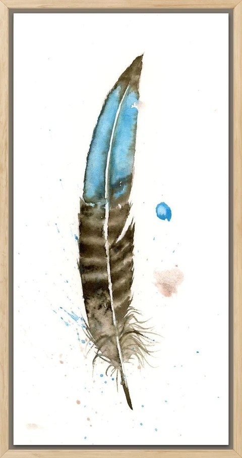 Image of a feather watercolor painting by Shayna Larsen, originals & prints available