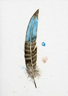 Image of a feather watercolor painting by Shayna Larsen, originals & prints available
