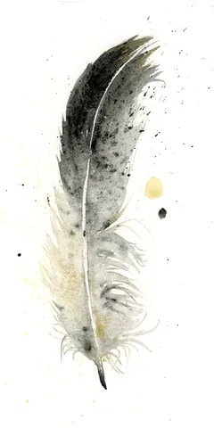 Image of a feather watercolor painting by Shayna Larsen, originals & prints available