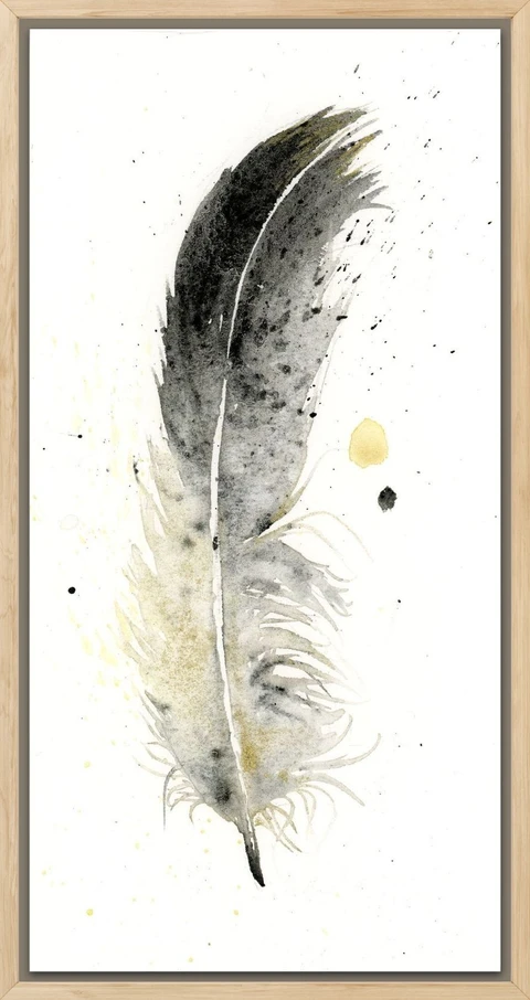 Image of a feather watercolor painting by Shayna Larsen, originals & prints available