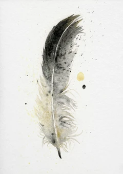 Image of a feather watercolor painting by Shayna Larsen, originals & prints available