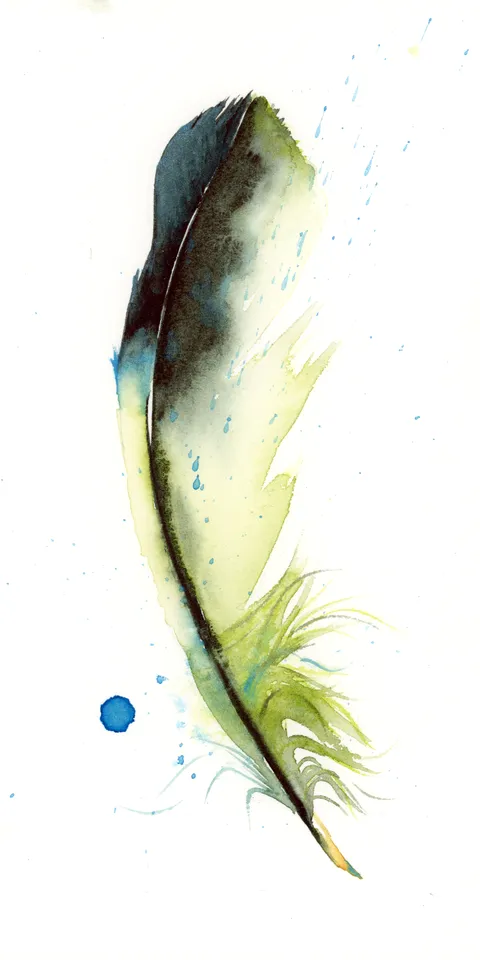 Image of a feather watercolor painting by Shayna Larsen, originals & prints available