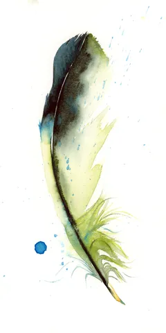 Image of a feather watercolor painting by Shayna Larsen, originals & prints available