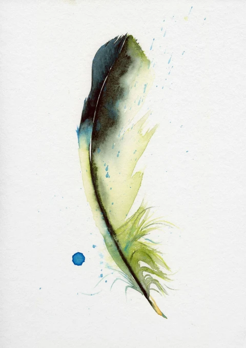 Image of a feather watercolor painting by Shayna Larsen, originals & prints available