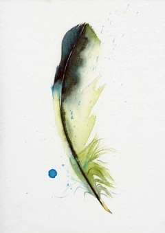 Image of a feather watercolor painting by Shayna Larsen, originals & prints available