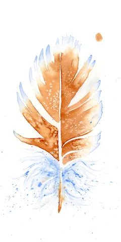 Image of a feather watercolor painting by Shayna Larsen, originals & prints available