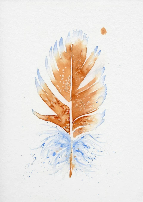 Image of a feather watercolor painting by Shayna Larsen, originals & prints available