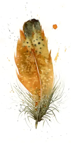 Image of a feather watercolor painting by Shayna Larsen, originals & prints available