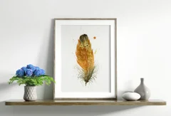 Image of a feather watercolor painting by Shayna Larsen, originals & prints available