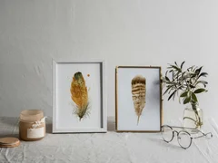 Image of a feather watercolor painting by Shayna Larsen, originals & prints available