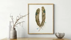 Image of a feather watercolor painting by Shayna Larsen, originals & prints available
