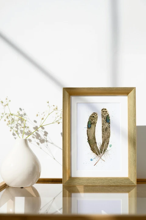 Image of a feather watercolor painting by Shayna Larsen, originals & prints available