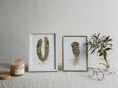 Image of a feather watercolor painting by Shayna Larsen, originals & prints available