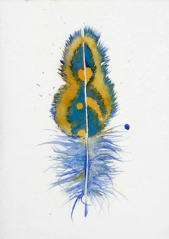 Image of a feather watercolor painting by Shayna Larsen, originals & prints available