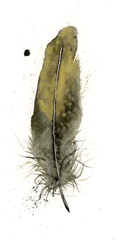 Image of a feather watercolor painting by Shayna Larsen, originals & prints available