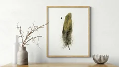 Image of a feather watercolor painting by Shayna Larsen, originals & prints available