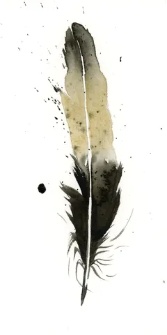 Image of a feather watercolor painting by Shayna Larsen, originals & prints available