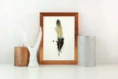 Image of a feather watercolor painting by Shayna Larsen, originals & prints available