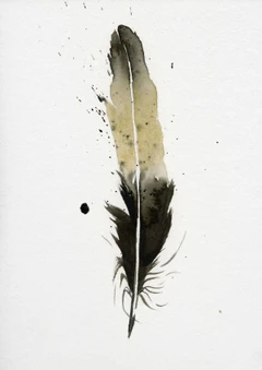 Image of a feather watercolor painting by Shayna Larsen, originals & prints available