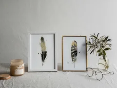 Image of a feather watercolor painting by Shayna Larsen, originals & prints available