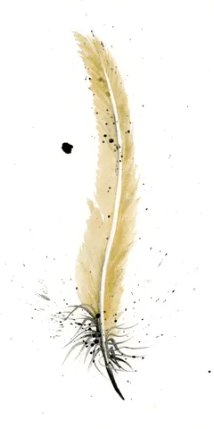Image of a feather watercolor painting by Shayna Larsen, originals & prints available