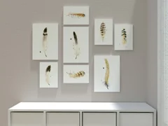 Image of a feather watercolor painting by Shayna Larsen, originals & prints available