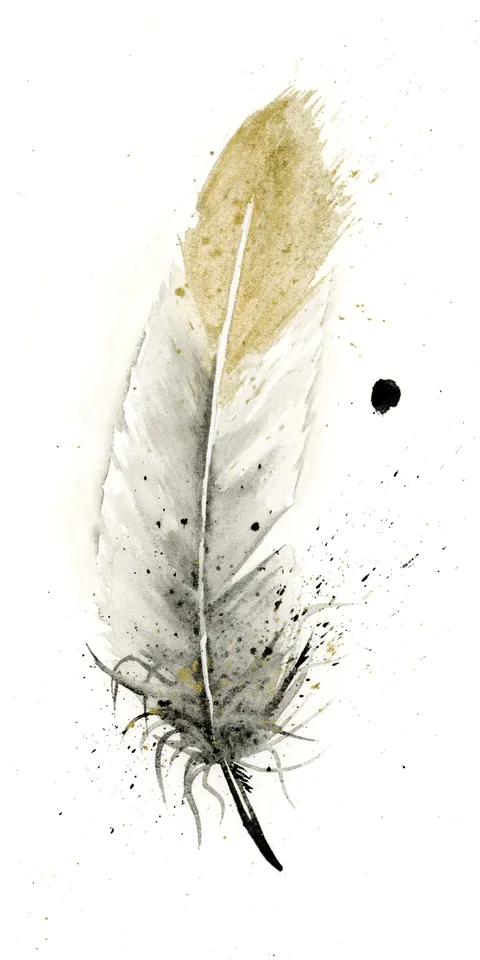 Image of a feather watercolor painting by Shayna Larsen, originals & prints available
