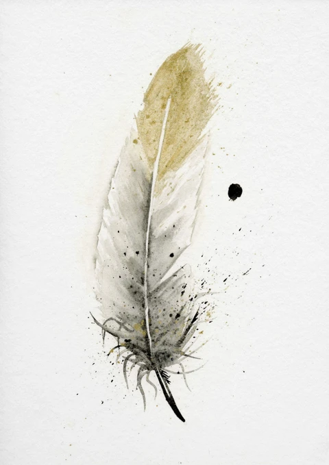 Image of a feather watercolor painting by Shayna Larsen, originals & prints available