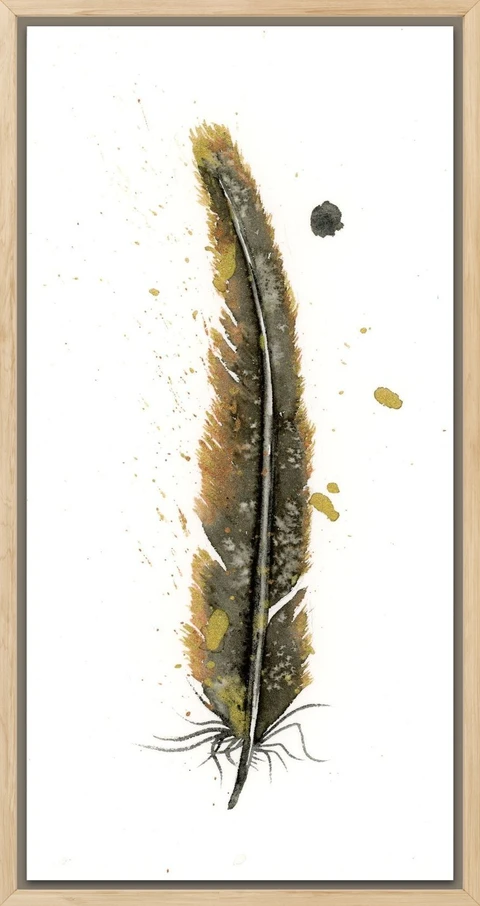 Image of a feather watercolor painting by Shayna Larsen, originals & prints available