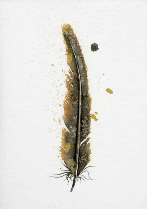 Image of a feather watercolor painting by Shayna Larsen, originals & prints available
