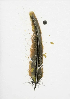 Image of a feather watercolor painting by Shayna Larsen, originals & prints available