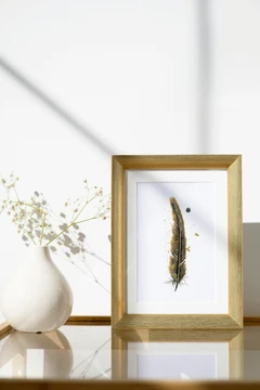 Image of a feather watercolor painting by Shayna Larsen, originals & prints available