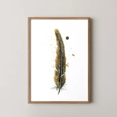 Image of a feather watercolor painting by Shayna Larsen, originals & prints available