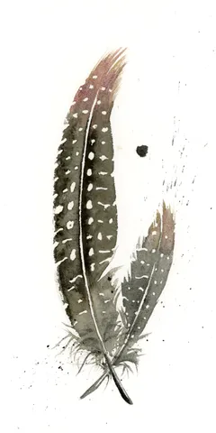Image of a feather watercolor painting by Shayna Larsen, originals & prints available