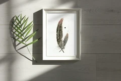 Image of a feather watercolor painting by Shayna Larsen, originals & prints available