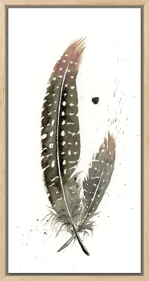 Image of a feather watercolor painting by Shayna Larsen, originals & prints available