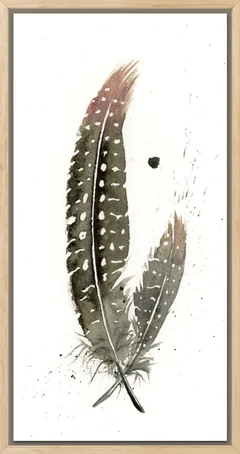Image of a feather watercolor painting by Shayna Larsen, originals & prints available