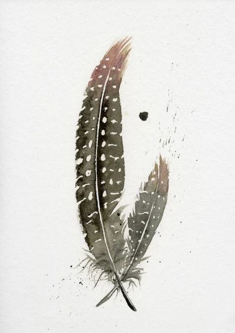 Image of a feather watercolor painting by Shayna Larsen, originals & prints available