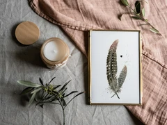 Image of a feather watercolor painting by Shayna Larsen, originals & prints available