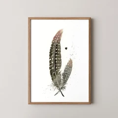 Image of a feather watercolor painting by Shayna Larsen, originals & prints available